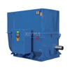 W60 Metallurgical High Voltage AC Motor Three phase AC Asynchronous Motor
