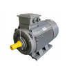 IE2 315S 2-pole AC asynchronous motor