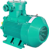 Motor high voltage 2P 4P 6P 8p three-phase ExDLLBT4 Gb AC motor