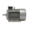 EC standard low-voltage three-phase AC motor