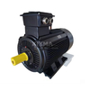 Electric motor 0.75kW~315kW