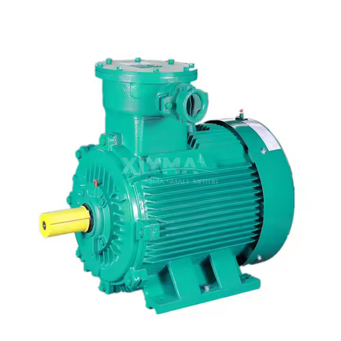 Motor high voltage 2P 4P 6P 8p three-phase ExDLLBT4 Gb AC motor