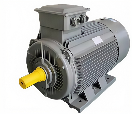 IE2 315S 2-pole AC asynchronous motor (2).png