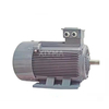 Electric motor 0.75kW~315kW