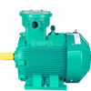Motor high voltage 2P 4P 6P 8p three-phase ExDLLBT4 Gb AC motor