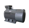 IE2 315S 2-pole AC asynchronous motor