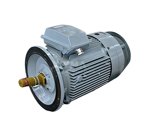 Three-phase AC Induction Motor YE4 Series motors