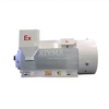 6kV high-voltage explosion-proof motor