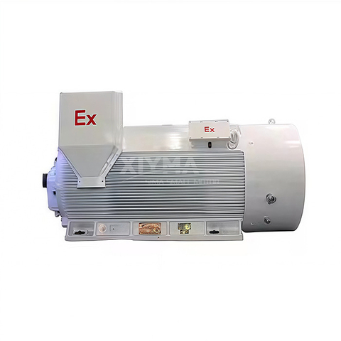 6kV high-voltage explosion-proof motor