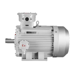 AC Explosion-proof Motor