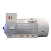 6kV high-voltage explosion-proof motor