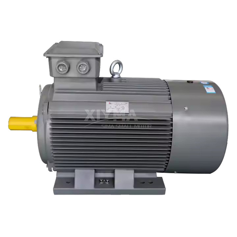 IE2 315S 2-pole AC asynchronous motor