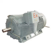 6kV high-voltage explosion-proof motor