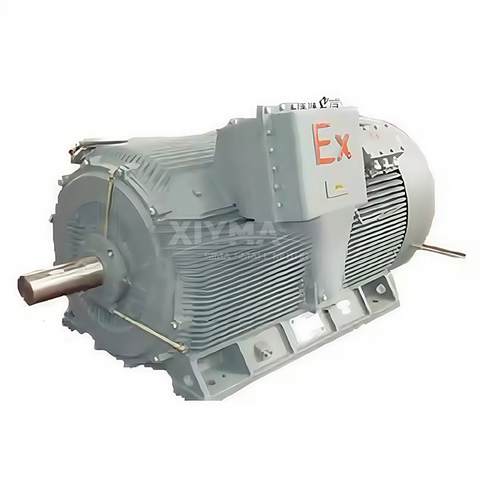 6kV high-voltage explosion-proof motor