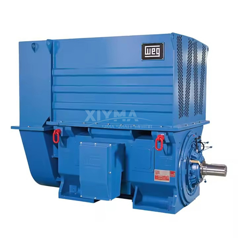 W60 Metallurgical High Voltage AC Motor Three phase AC Asynchronous Motor