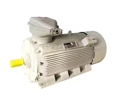 Equipped with explosion-proof 50HP 60HP 75HP induction motor