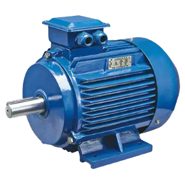 Three-phase AC Induction Motor